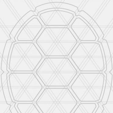 Placeholder image of a turtle shell