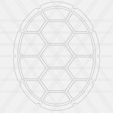 place holder image of a turtle shell