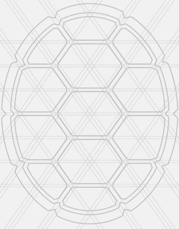 place holder image of a turtle shell