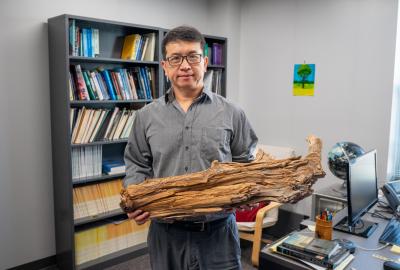 Ning holding a 3,775 year old log