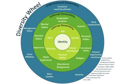 info-graph of a diversity wheel