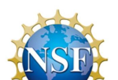 nsf logo