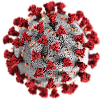 The COVID-19 virus