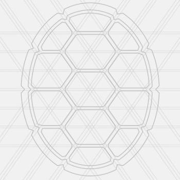 place holder image of a turtle shell