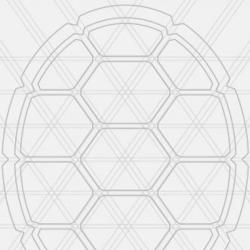 Placeholder image of a turtle shell